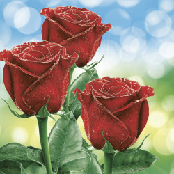 Rózsa Classic szalvéta 20...