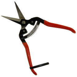 Szüretelő olló 19 cm egyenes