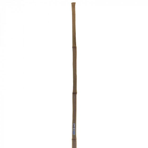 Bambusz seprű - MUTA