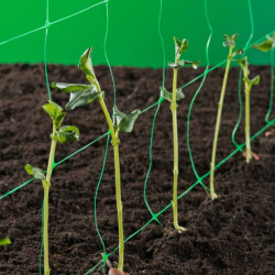 Növénytartó háló Trellinet...