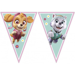 Paw Patrol Skye and...