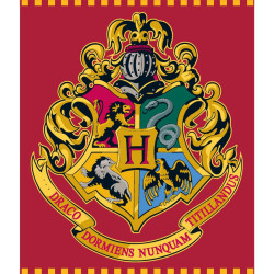 Harry Potter plüss takaró...