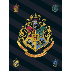 Harry Potter polár takaró...