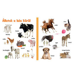 Állatkölykök vidám, képes lapozgató