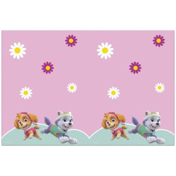 Paw Patrol Skye and Everest...