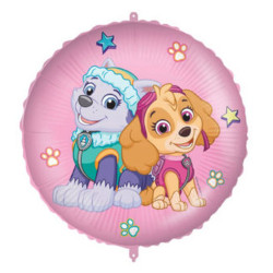 Paw Patrol Skye and...