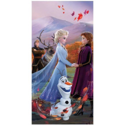 Disney Jégvarázs...