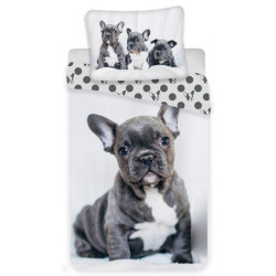 Kutyás, French Bulldogs...
