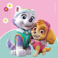 Paw Patrol Skye and...