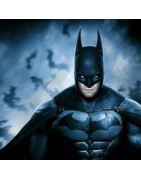 Batman - a sötét lovag világa